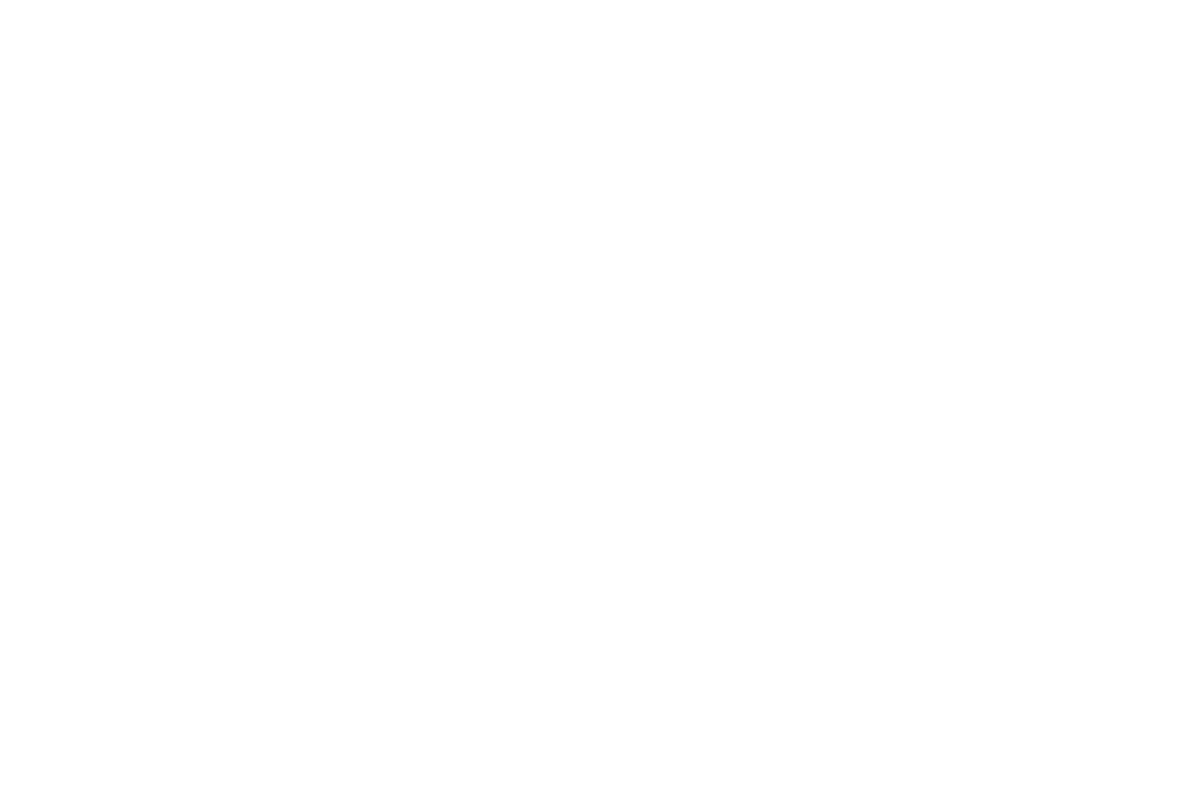 powered by Steiner Vision